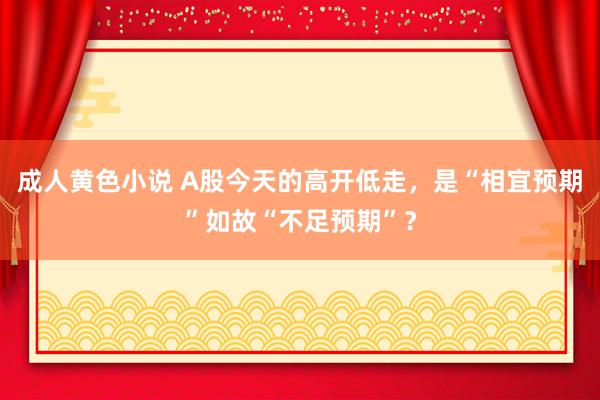 成人黄色小说 A股今天的高开低走，是“相宜预期”如故“不足预期”？