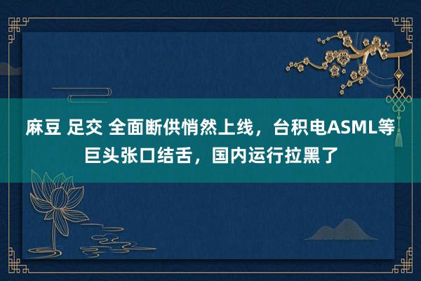 麻豆 足交 全面断供悄然上线，台积电ASML等巨头张口结舌，国内运行拉黑了