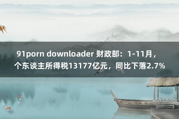 91porn downloader 财政部：1-11月， 个东谈主所得税13177亿元，同比下落2.7%