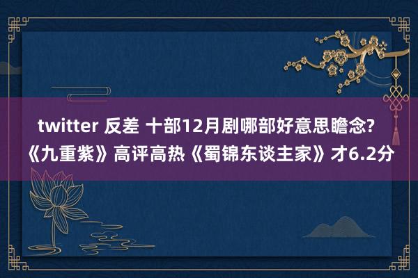 twitter 反差 十部12月剧哪部好意思瞻念? 《九重紫》高评高热《蜀锦东谈主家》才6.2分