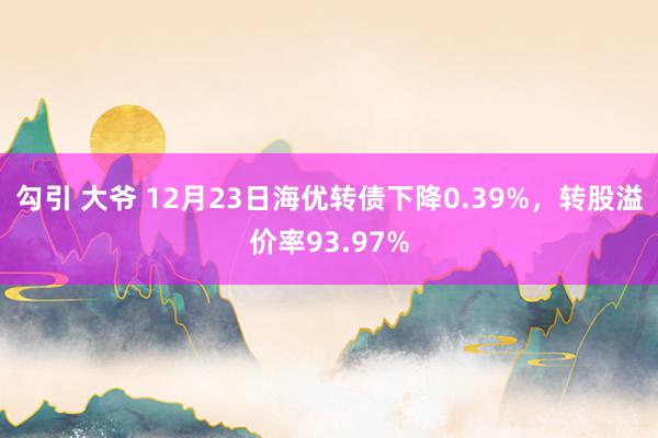 勾引 大爷 12月23日海优转债下降0.39%，转股溢价率93.97%