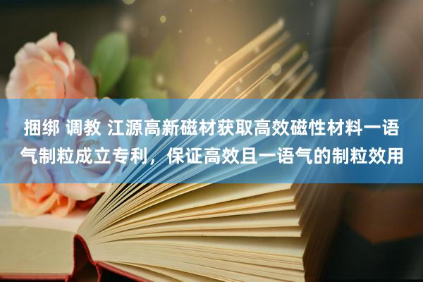 捆绑 调教 江源高新磁材获取高效磁性材料一语气制粒成立专利，保证高效且一语气的制粒效用