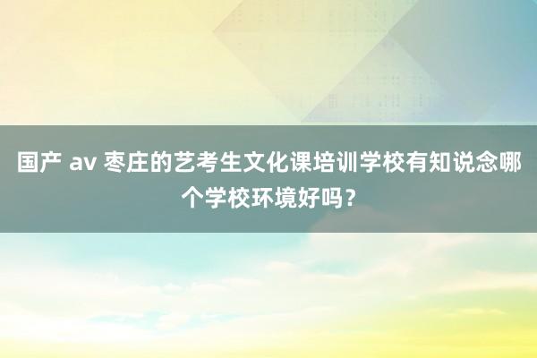 国产 av 枣庄的艺考生文化课培训学校有知说念哪个学校环境好吗？