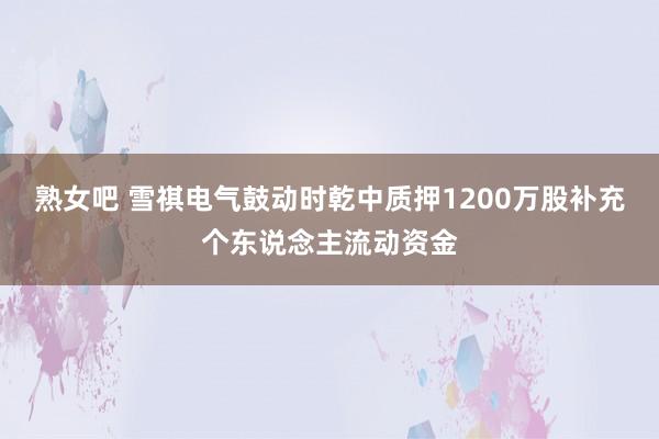 熟女吧 雪祺电气鼓动时乾中质押1200万股补充个东说念主流动资金