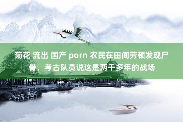 菊花 流出 国产 porn 农民在田间劳顿发现尸骨，考古队员说这是两千多年的战场