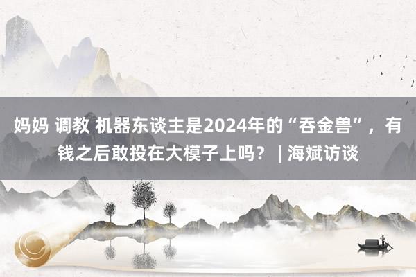 妈妈 调教 机器东谈主是2024年的“吞金兽”，有钱之后敢投在大模子上吗？ | 海斌访谈