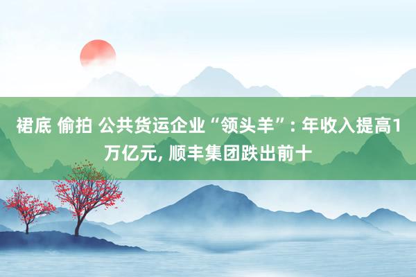 裙底 偷拍 公共货运企业“领头羊”: 年收入提高1万亿元， 顺丰集团跌出前十