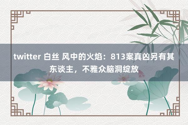 twitter 白丝 风中的火焰：813案真凶另有其东谈主，不雅众脑洞绽放