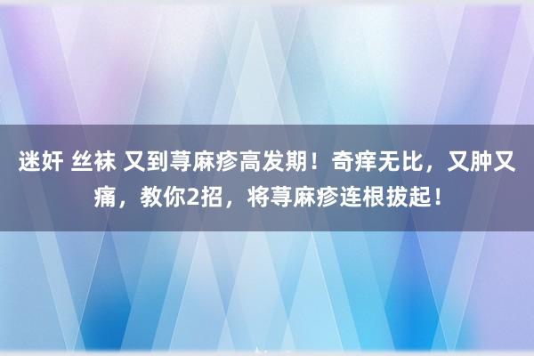 迷奸 丝袜 又到荨麻疹高发期！奇痒无比，又肿又痛，教你2招，将荨麻疹连根拔起！