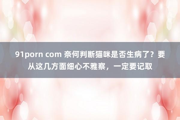 91porn com 奈何判断猫咪是否生病了？要从这几方面细心不雅察，一定要记取