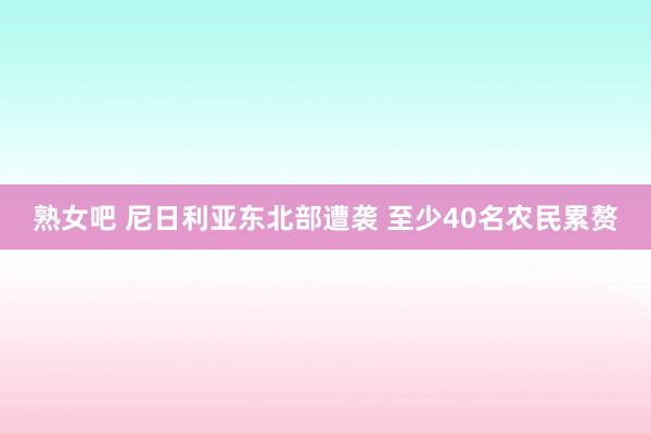 熟女吧 尼日利亚东北部遭袭 至少40名农民累赘