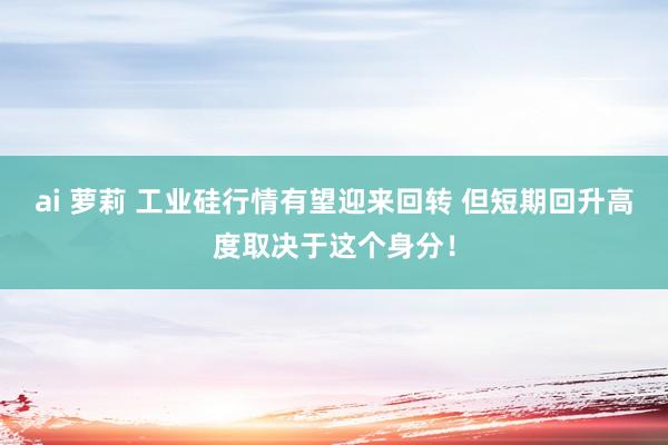 ai 萝莉 工业硅行情有望迎来回转 但短期回升高度取决于这个身分！