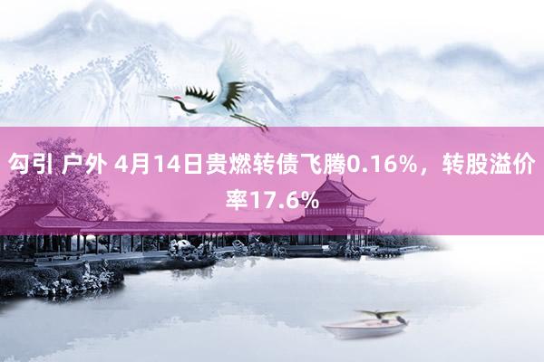 勾引 户外 4月14日贵燃转债飞腾0.16%，转股溢价率17.6%